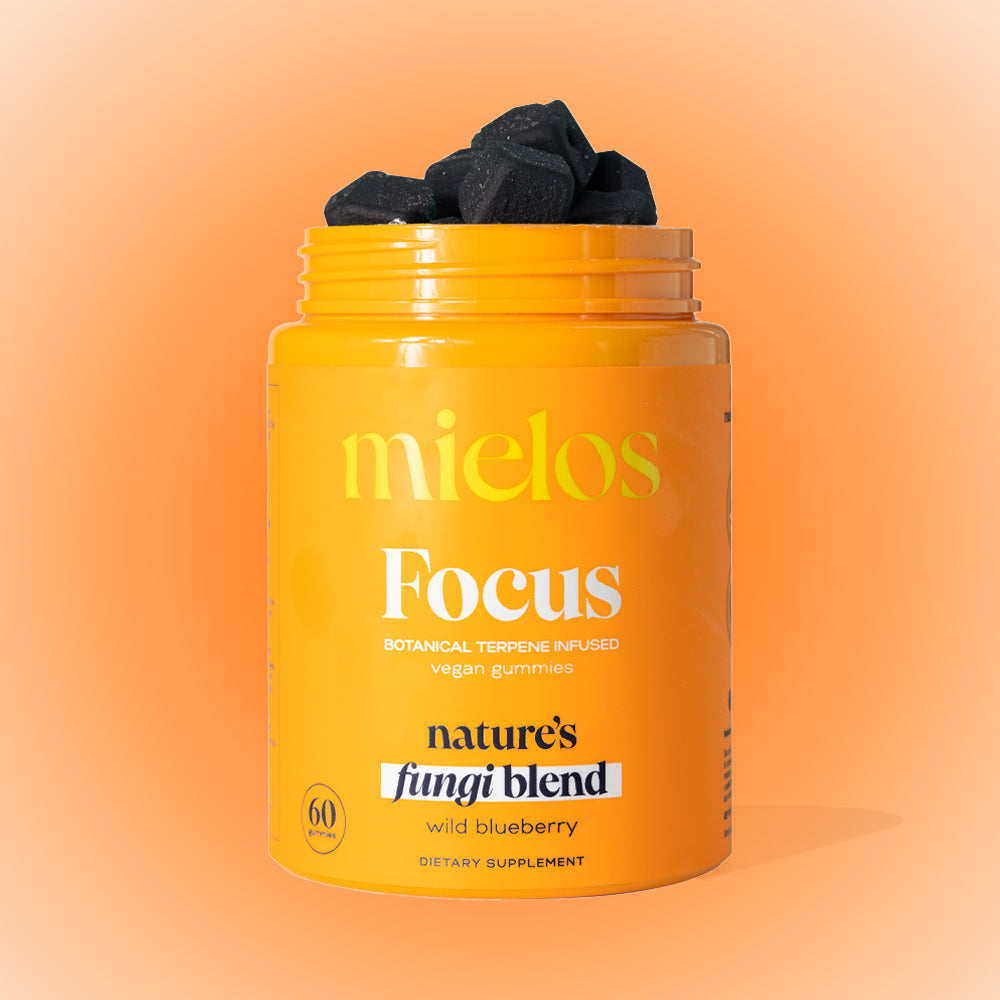 Focus Mushroom Gummies